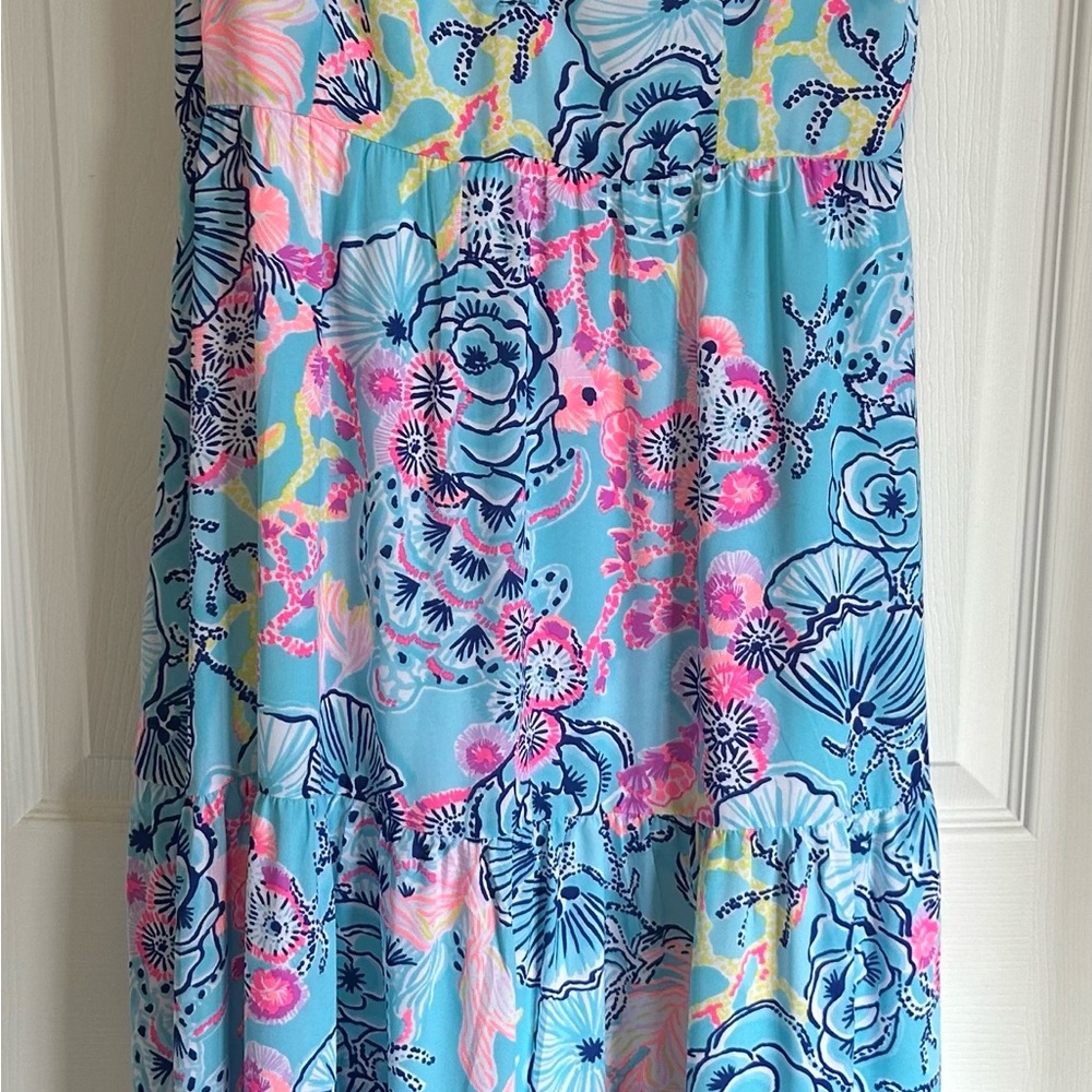 Floral Blue and Pink Maxi Dress